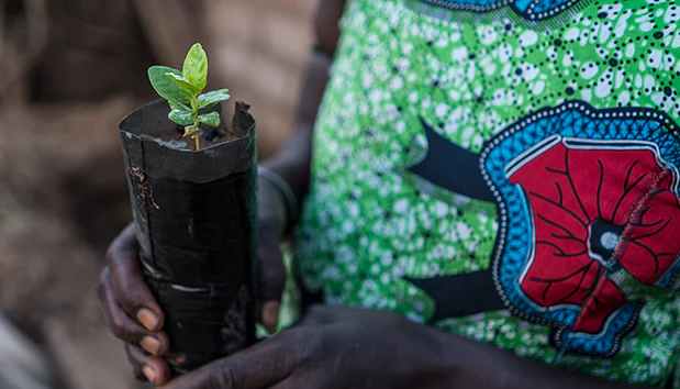 1e8ac9c786f603c6e18c699a35c5e8a