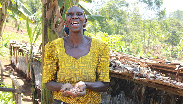 65fb13d721df3074401b9eb7dafb689