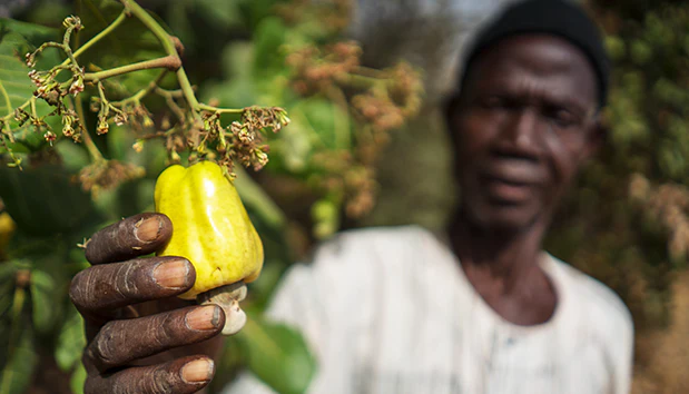 75a76727348ef091a77bcb7e0b5f864