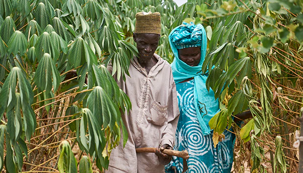 d30909a673c029c000f6cc65d437e50