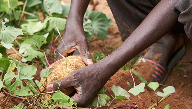 e31026d2ceedc70ba7fa3b82929ced4